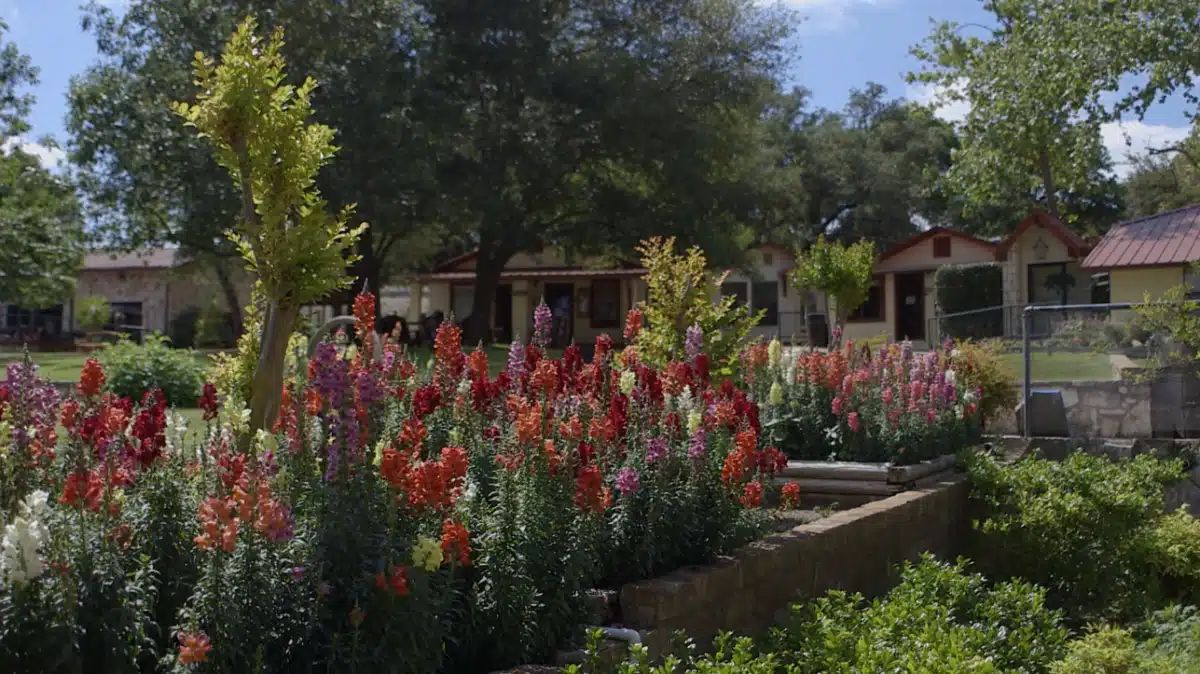 La Hacienda Treatment Center